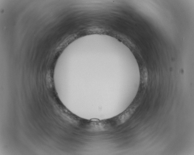 X0000079310764200612151752