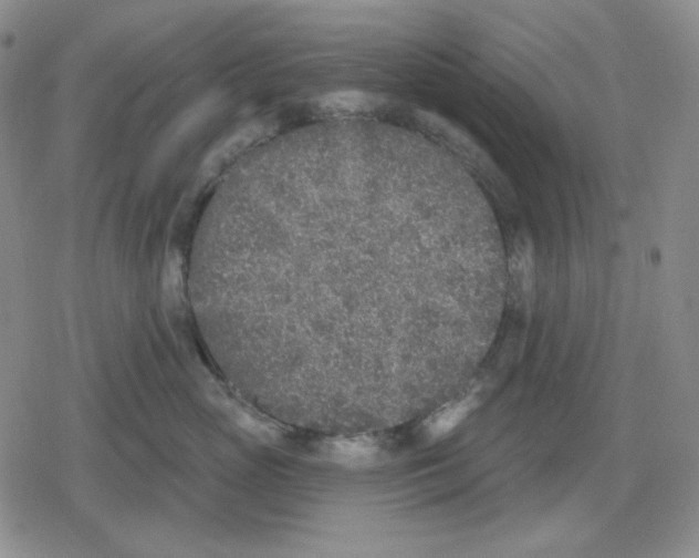 X0000079310765200612151752