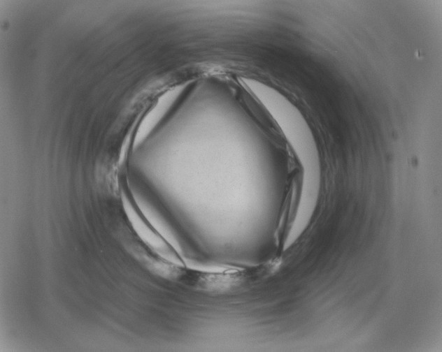 X0000079310766200612151752