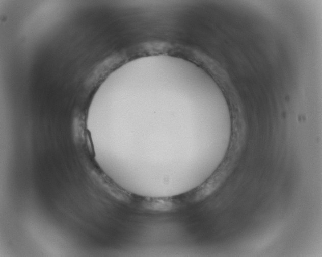 X0000079310768200612151752