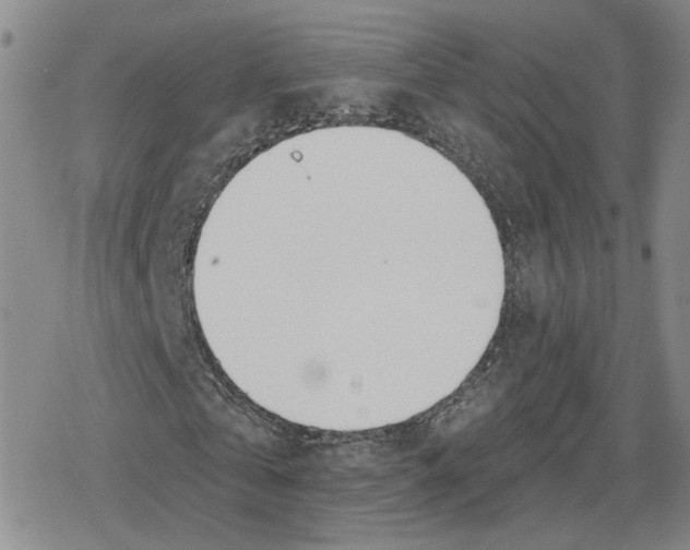 X0000079310769200612151751