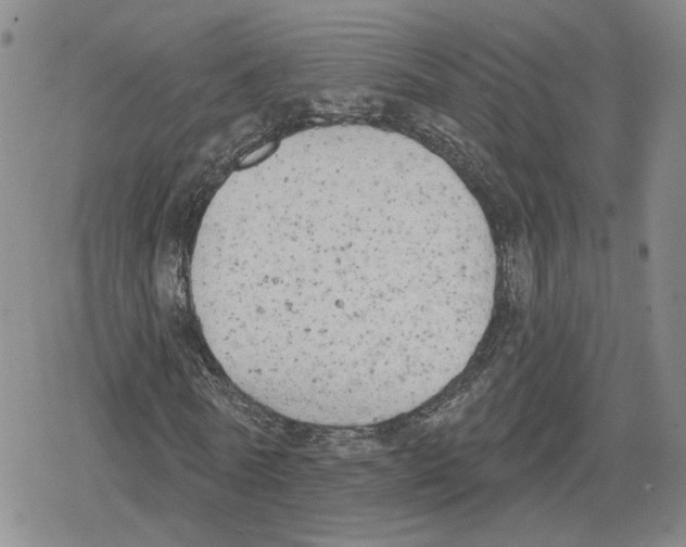 X0000079310770200612151751