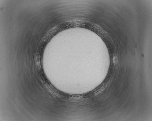 X0000079310771200612151751