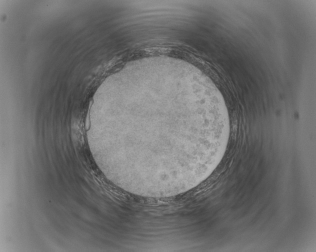 X0000079310772200612151751