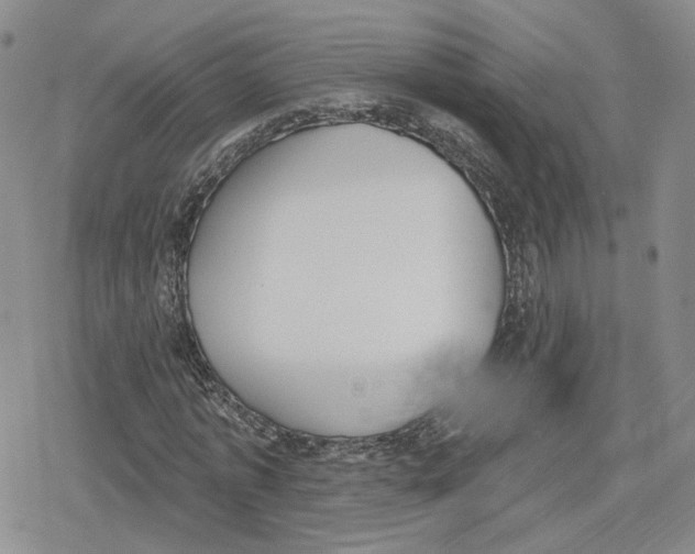 X0000079310773200612151751