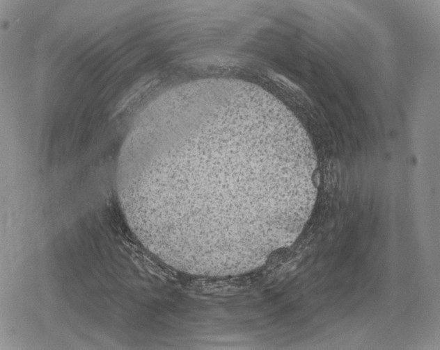 X0000079310774200612151751