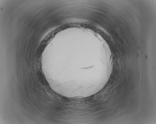 X0000079310775200612151751