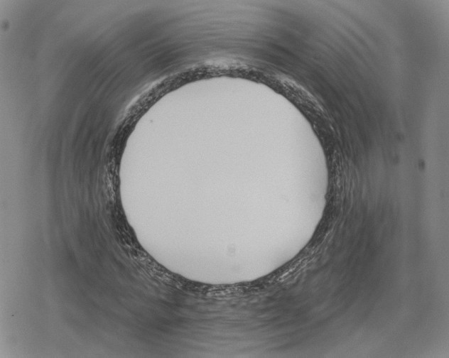 X0000079310776200612151751