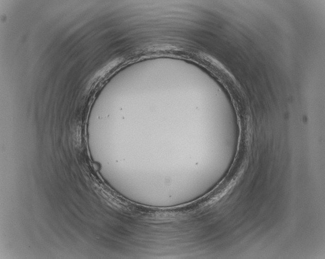 X0000079310777200612151751