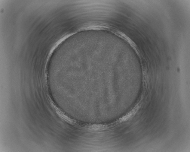 X0000079310779200612151751