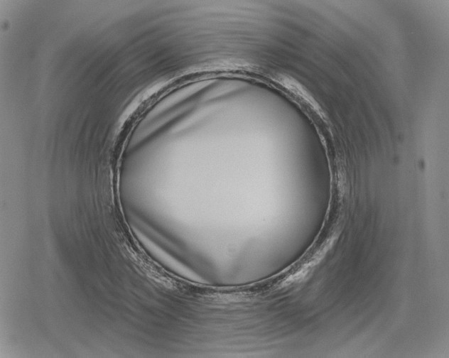 X0000079310781200612151751