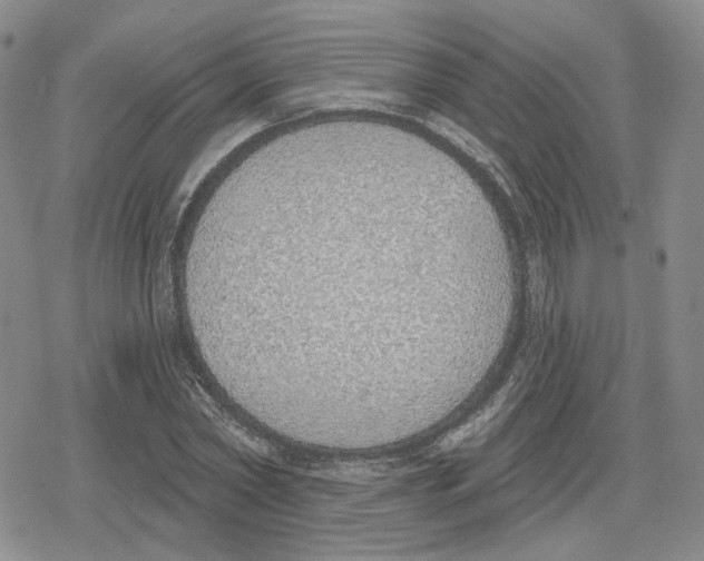 X0000079310782200612151751