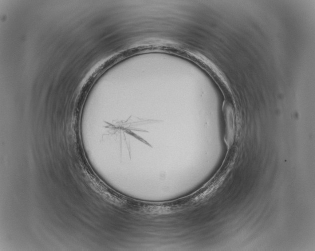 X0000079310783200612151751