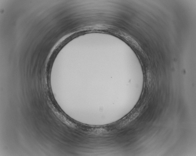 X0000079310784200612151751