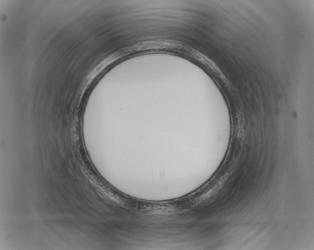 X0000079310786200612151751