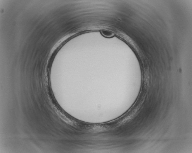 X0000079310787200612151751