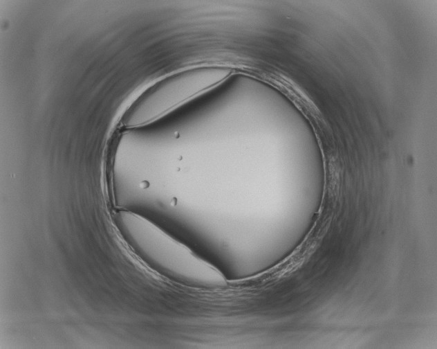 X0000079310788200612151751