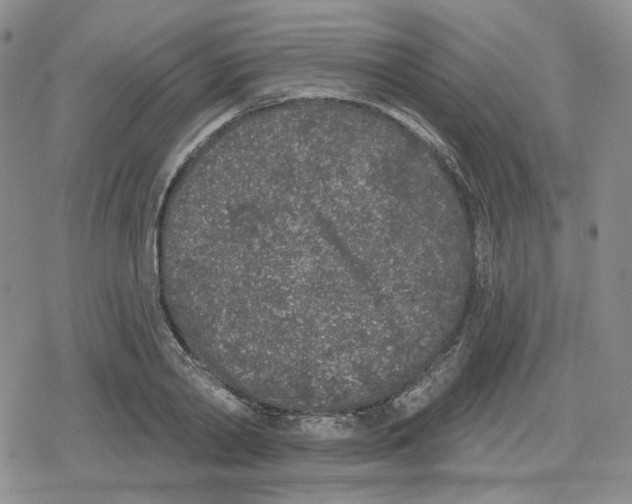 X0000079310790200612151751