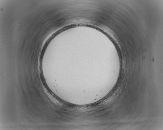 X0000079310791200612151751