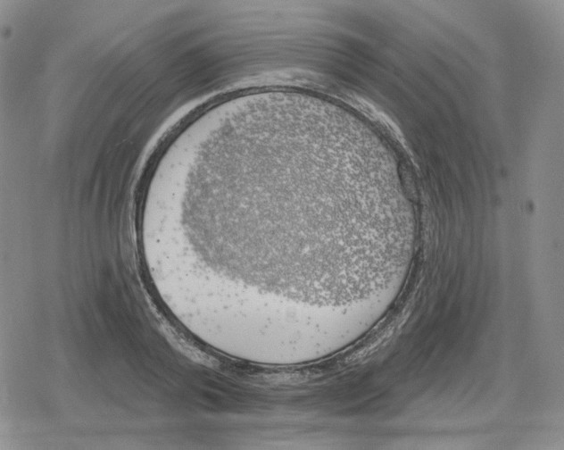 X0000079310792200612151751