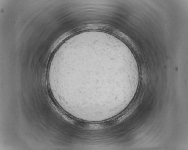 X0000079310794200612151751