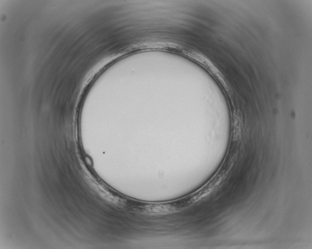 X0000079310795200612151751