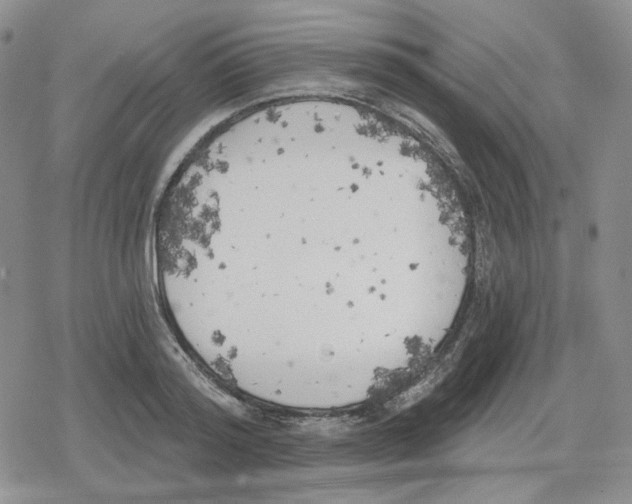 X0000079310796200612151751