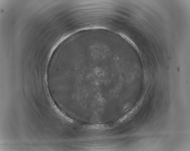 X0000079310797200612151751