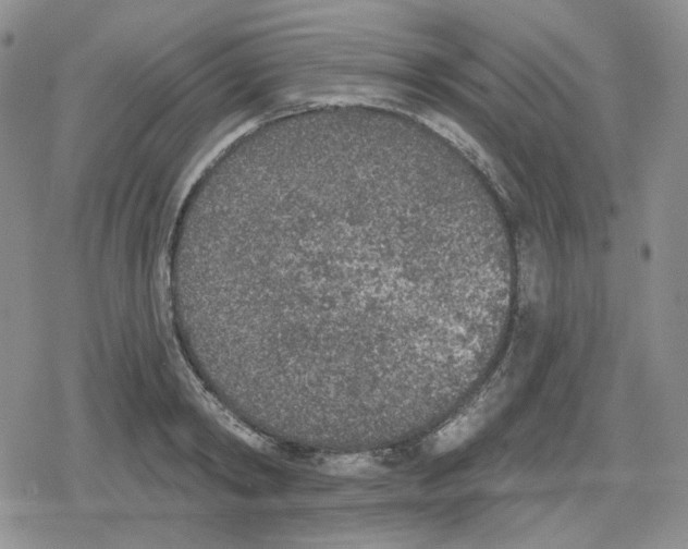 X0000079310798200612151751