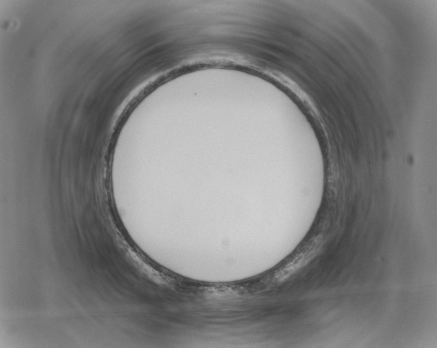 X0000079310799200612151751