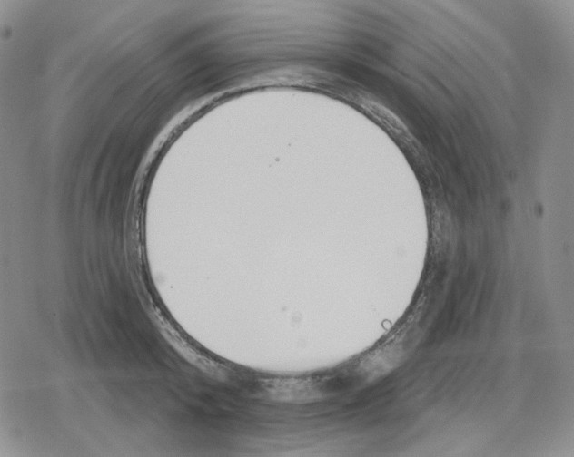 X0000079310800200612151751