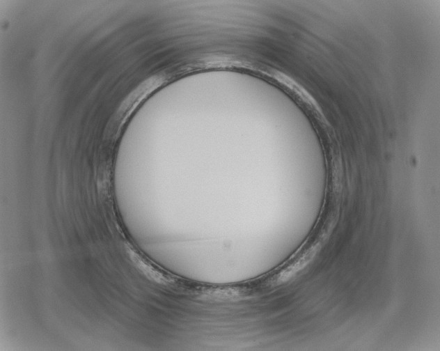 X0000079310801200612151751