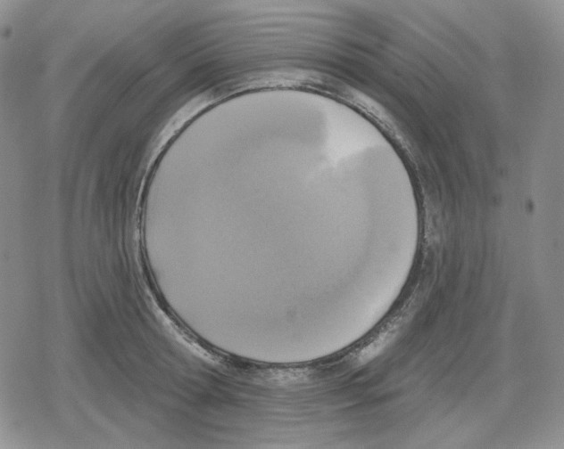 X0000079310802200612151751