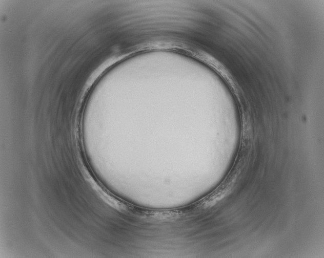 X0000079310803200612151751