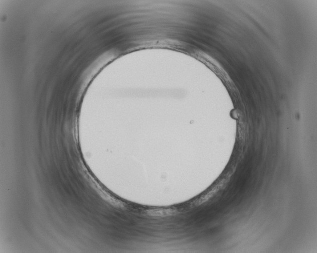 X0000079310804200612151751