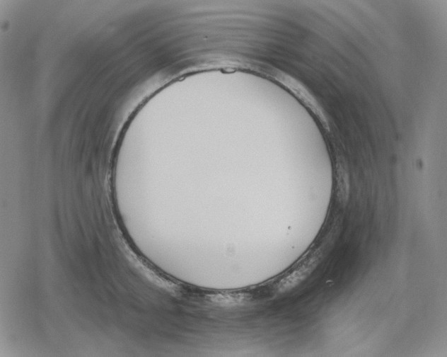 X0000079310805200612151751