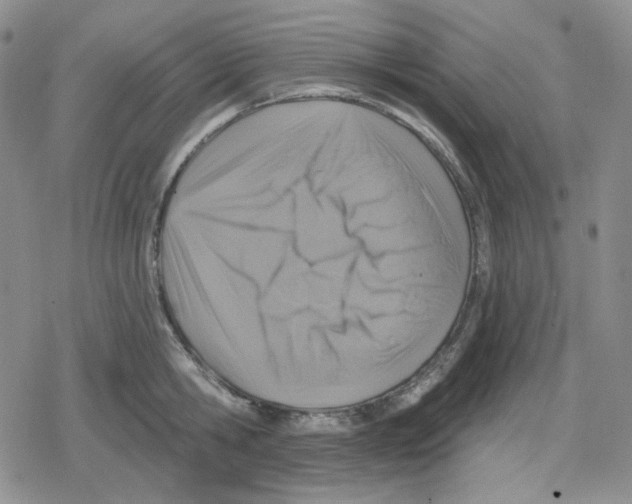 X0000079310806200612151751