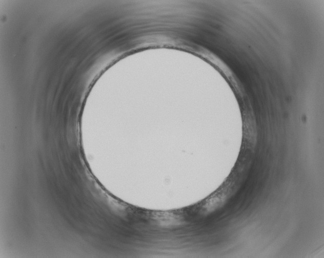 X0000079310807200612151751