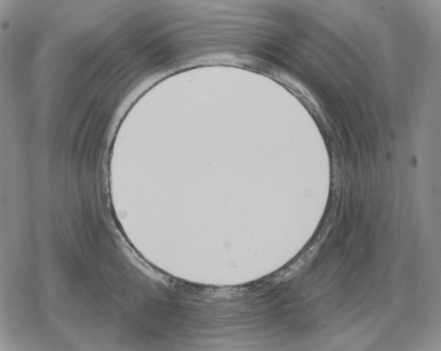 X0000079310808200612151751