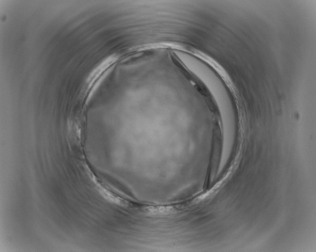 X0000079310809200612151751