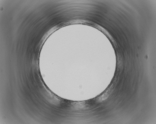 X0000079310810200612151750