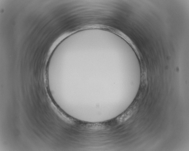 X0000079310811200612151750