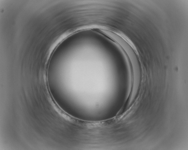 X0000079310813200612151750