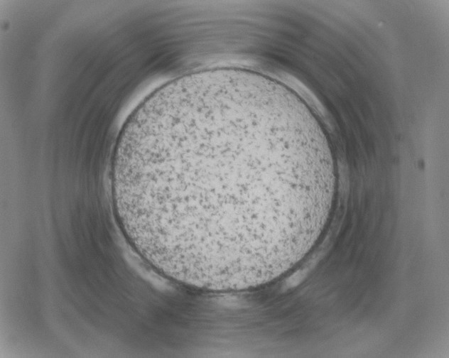 X0000079310814200612151750