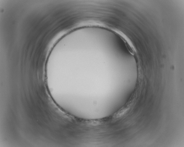 X0000079310815200612151750