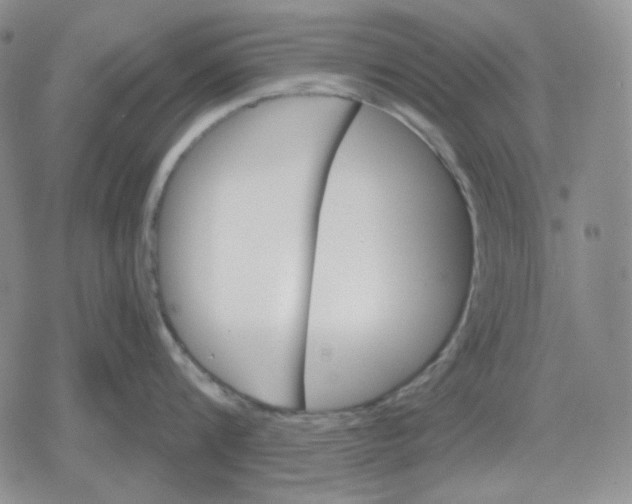 X0000079310816200612151750