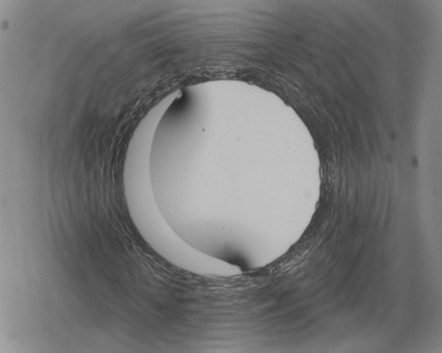 X0000079310818200612151750