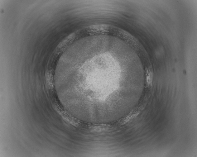 X0000079310819200612151750