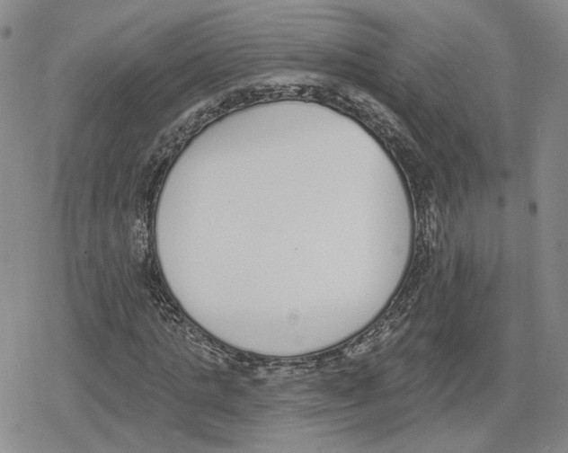 X0000079310821200612151750