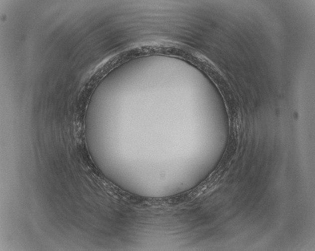 X0000079310822200612151750